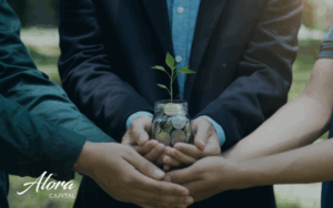 Diferença entre subvenção econômica e Lei do Bem